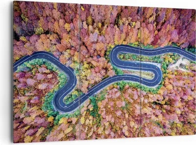 Produktbild von Bild auf Leinwand - Leinwandbild - 3 Teile - Kurvenreich Weg Wald - 165x110cm - Wand Bild - Wanddeko - Wandbilder - Leinwanddruck - Bilder - Wanddekoration - Leinwand bilder - CE165x110-4291