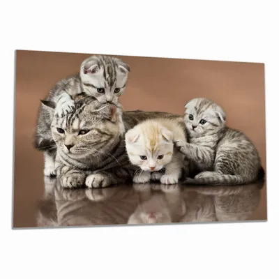 Produktbild von Wallario Herdabdeckplatte aus Glas, Größe 80 x 52 cm 1-teilig, Motiv Katzenfamilie