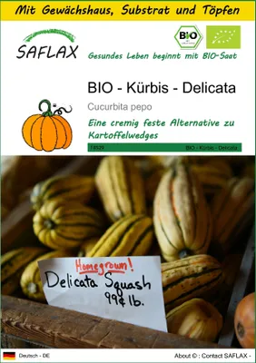 Produktbild von SAFLAX Anzucht Set - BIO - Kürbis - Delicata - Cucurbita pepo - 6 Samen - Mit Mini-Gewächshaus, Anzuchtsubstrat und 2 Töpfen