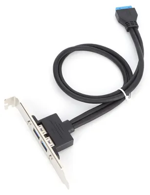 Image de Support de panneau arrière noir pour rallonge à double port A femelle, avec câble à double déflecteur USB de 19 broches pour carte mère