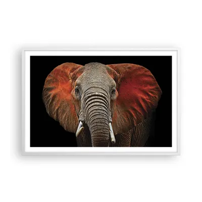 Produktbild von Gerahmtes Poster - Weißer Rahmen - Elefant Rot Ohren - 91,5x61 cm - Wand Bild - Wanddeko - Wandbilder - Kunstposter - Wandposter - Bilderrahmen - Bilder - Kunstdruck - Wandbild - P2WAA91x61-4237