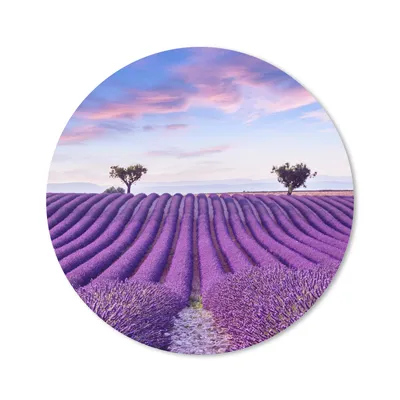 Produktbild von MuchoWow® Mauspad Mousepad Lavendel - Natur - Lila - Bäume - Blumen 50x50 cm - Mousepads - Maus Mat - Pad - Mausunterlage - Vinyl