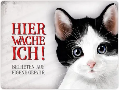 Produktbild von Betreten auf eigene Gefahr - Hier wache ich! Metallschild XXL mit Katze Motiv