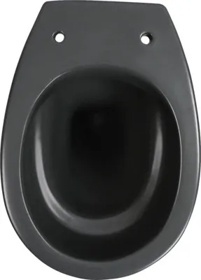 Produktbild von Stand-WC Tiefspüler ohne Spülrand anthrazit matt ohne WC-Sitz 1280732