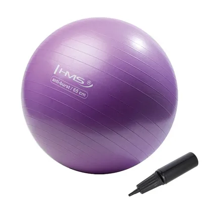 Immagine prodotto di Palla da ginnastica HMS YB02 65 cm viola