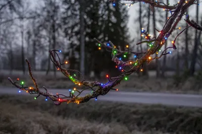 Produktbild von LED-Lichterkette 'Flashy', 300 bunte LED