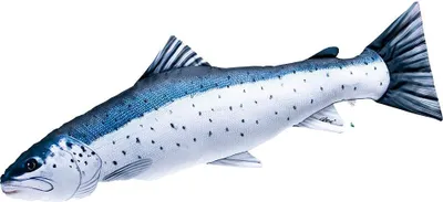 Produktbild von Fish Cushion Sea Trout