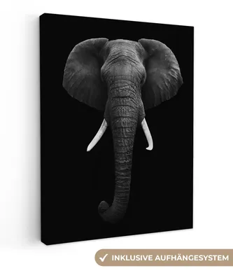Obrázek produktu pro OneMillionCanvasses® - Plátna - Slon - Divoká zvířata - Černá - Bílá - Portrét, Nástěnné umění, Nástěnné dekorace Obývací pokoj, 60x80cm