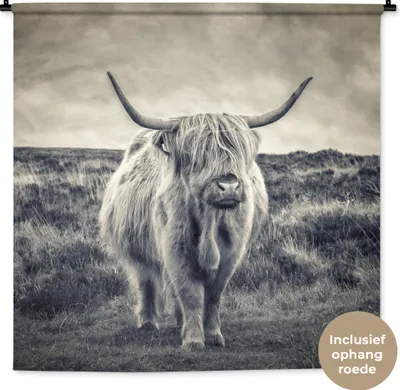 Produktbild von MuchoWow® Wandteppich Wandbehang Schottisches Hochlandrind - Tiere - Wolken - Kuh - Natur 120x120 cm Tapisserie Dekoration Wandtuch - Modern - Baumwollgewebe
