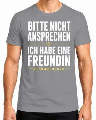 Immagine prodotto di T-shirt da uomo, colore grigio, taglia L. Scritta: "Per favore, non parlatemi. Ho un'amica." (Stile sarcastico)