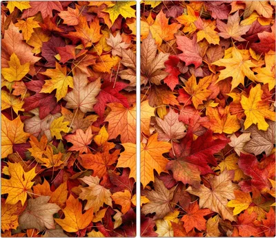 Produktbild von Spritzschutz Herdabdeckplatte Schneidebrett aus Glas Herbstlaub 2-Teilig (60x52cm)