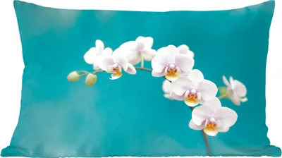 Produktbild von MuchoWow® Zierkissen Sofakissen Wohnzimmer Dekokissen 60x40 cm Orchidee - Blumen - Pflanze - Weiß - Lila - Kopfkissen - Polster mit Foto