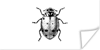 Produktbild von MuchoWow® Poster Vintage - Marienkäfer - Insekten - Schwarz und weiß 40x20 cm - Poster für die Wand - Poster Schlafzimmer
