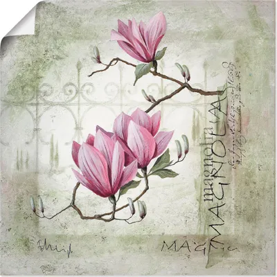 Produktbild von ARTland Poster Pinke Magnolie Größe: 50x50 cm
