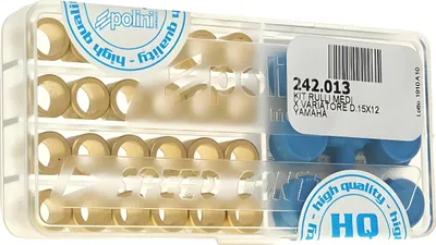 Image de Masselottes Polini, jeu de 15 pièces, dimensions 12 mm, poids de 5,5 à 7,0 g, pour Yamaha Aerox 50, modèles à partir de 1999