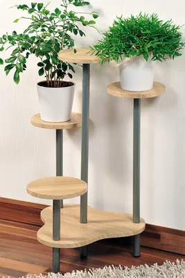 Image de Support multiple pour 4 plantes - Hauteur 75 cm - Bois