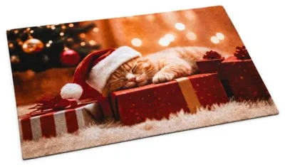 Produktbild von Fußmatte mit Weihnachtskatze, 40 x 60 cm