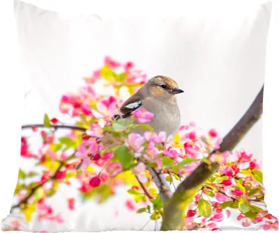 Produktbild von MuchoWow® Zierkissen Sofakissen Wohnzimmer Dekokissen 45x45 cm Vogel zwischen rosa Blumen - Schlafpolster - Polster für das Sofa