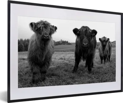 Produktbild von MuchoWow® MuchoWow® Gerahmtes Poster Schottische Hochlandrind - Kühe - Natur - Grün - Gras 60x40 cm - Poster mit zchwarzem Bilderrahmen - Schlafzimmer - Plakat in Rahmen - Drucken
