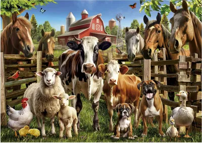 Immagine prodotto di Bauernhof Buddies puzzle 500pz