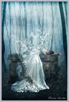 Immagine prodotto di Sanches, Liliana - Poster - Her Demise + cornice a incastro, Shinsuke® Maxi in plastica argento, lastra in acrilico