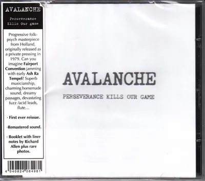 Productafbeelding van Avalanche: Doorzetting verpest ons spel
