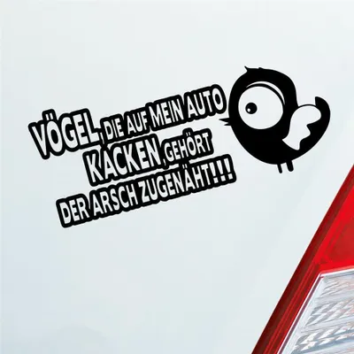 Produktbild von Auto Aufkleber Vögel die auf mein Auto kacken, gehört der Arsch zugenäht! 19x8 cm Schwarz Glanz Sticker Heckscheibenaufkleber