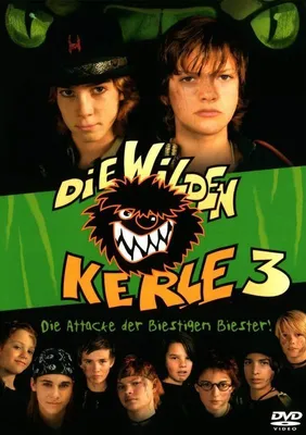 Produktbild von Die wilden Kerle 3
