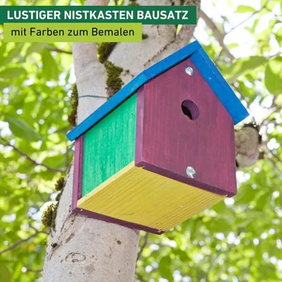 Produktbild von Vogel-Nistkasten Bausatz inkl. Farben & Pinsel für Kinder