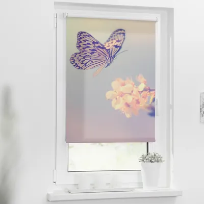 Obrázek produktu pro Roleta na okno Lichtblick bez vrtání Motýli 90x150 cm včetně upínacích držáků