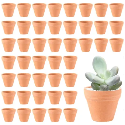 Produktbild von Set aus 48 Mini-Terracotta-Blumentöpfen für kreative Projekte