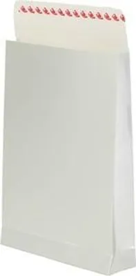 Obrázek produktu pro Kartonová obálka 230 x 320 x 60 mm stříbrná 220 g 10 kusů