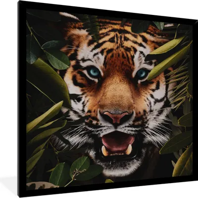 Produktbild von MuchoWow® MuchoWow® Gerahmtes Poster Tiger - Dschungel - Blätter 40x40 cm - Poster mit zchwarzem Bilderrahmen - Mit Rahmen - Wanddekoration Schlafzimmer