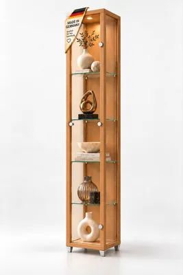 Produktbild von AGIONDA Standvitrine Sammlervitrine Natur mit LED, 1 Glastür und 4 Glasböden, 172 cm