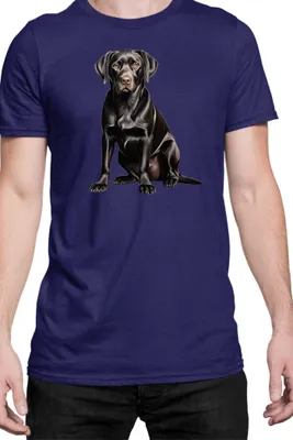 Zdjęcie produktu dla Męska Koszulka Dogs Breeds Labrador Retriever Dog Breed 006, Man M / Ciemnoniebieski