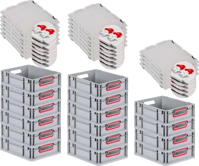 Produktbild von SuperSparSet 16x Eurobox NextGen Color mit Scharnierdeckel und Schiebeschnappverschlüssen | HxBxT 12x30x40cm | 11 Liter | Grau | Griffe rot offen | Glatter Boden | Eurobehälter, Transportbox, Transportbehälter, Stapelbehälter