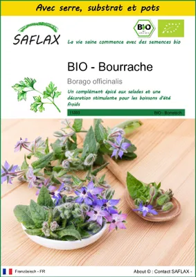 Image de SAFLAX Ensemble de culture -- Bourrache - 40 graines - Borago