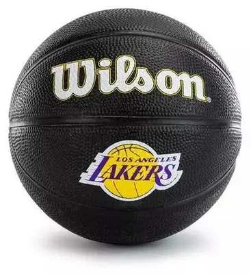Image de Mini Ballon de Basketball NBA Los Angeles Lakers Wilson Team Tribute