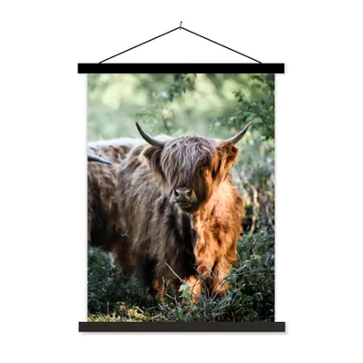 Produktbild von MuchoWow® Textilposter Schottische Highlander - Wald - Tiere 40x53 cm mit schwarzem Rahmen - Abbildung