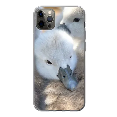 Produktbild von MuchoWow® Handyhülle Schutzhülle Hülle für iPhone 12 Pro Max Schwäne - Licht - Küken Silikon Softcase Handy Hülle - Hartschale