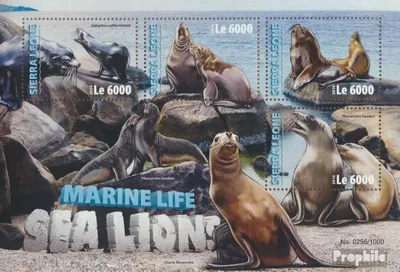 Produktbild von Briefmarken Sierra Leone 2016 Mi 7083-7086 Kleinbogen (kompl. Ausg.) postfrisch Seelöwen