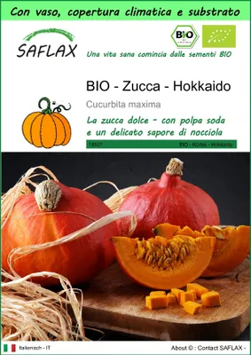 Immagine prodotto di SAFLAX Garden to go - BIO - Zucca - Hokkaido - 5 semi - Cucurbita