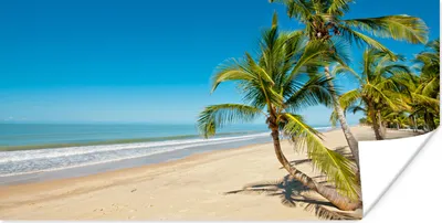 Produktbild von MuchoWow® Poster Strand - Meer - Palme 40x20 cm - Poster für die Wand - Poster Schlafzimmer