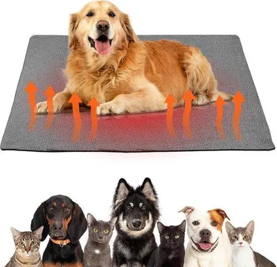 Productafbeelding van Zelfverwarmende Deken voor Katten en Honden - 65 x 95 cm - Wasbaar en Antislip