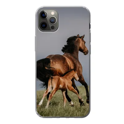 Produktbild von MuchoWow® Handyhülle Schutzhülle Hülle für iPhone 12 Pro Max Tiere - Pferde - Fohlen Silikon Softcase Handy Hülle - Hartschale