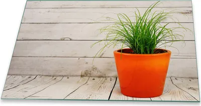 Produktbild von Herdabdeckplatte Glaskeramik 1 Teilig 80x52 Pflanzen Grün Abdeckung Glas Spritzschutz