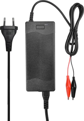 A black battery charger with a European plug and alligator clips.