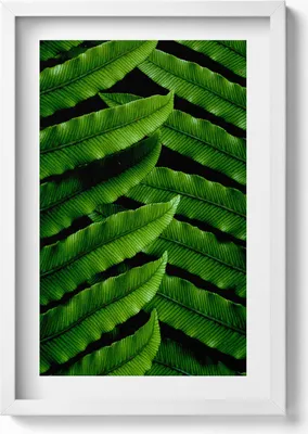 Produktbild von Gerahmtes Kunstwerk– Wandbild mit Rahmen – Gerahmtes Bild  – Wanddekoration – 40x60 cm – Weiß