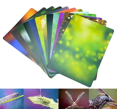 Immagine prodotto di Sfondi per macrofotografia, 12 pezzi, 24 colori