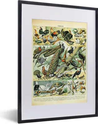 Produktbild von MuchoWow® Gerahmtes Poster Tier - Vögel - Jahrgang 30x40 cm - Poster mit Schwarzem Bilderrahmen Wandposter Rahmen Foto Bilder - Wandposter Schlafzimmer